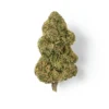 Buy Candy CBD Flower