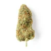 Buy Cheese CBD Flower