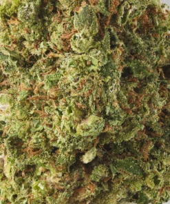 Alternative view of Buy Cookies CBD Flower
