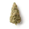 Buy Purple Kush CBD Flower