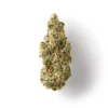 Buy GOATzilla CBD Flower
