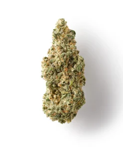 Buy GOATzilla CBD Flower