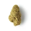 Buy Candy CBD Hemp Flower