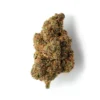Buy Tropical Dream CBD Flower