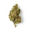 Buy Lemon Haze CBD Flower