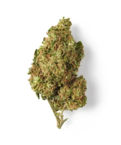 Buy Lemon Haze CBD Flower