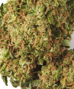 Buy Lemon Haze CBD Flower