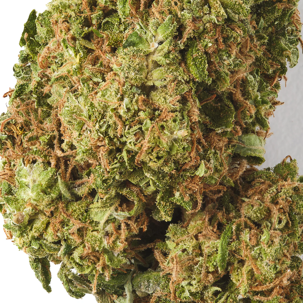 Buy Lemon Haze CBD Flower