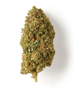 Buy Lemon Octane CBD Flower