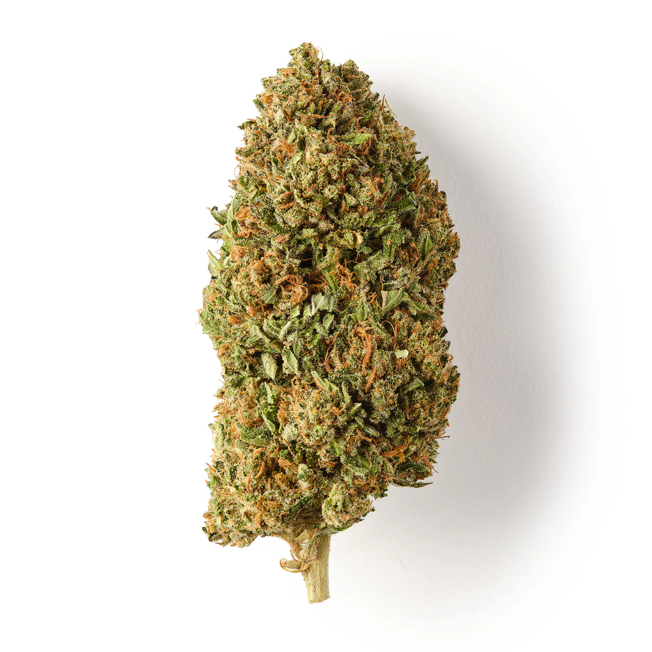 Buy Lemon Octane CBD Flower