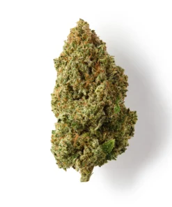 Buy Orange Martini CBD Flower