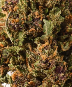Buy Strawberry CBD Hemp Flower