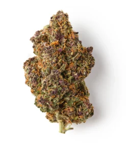 Buy Chardonnay CBD Hemp Flower