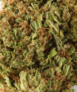 Alternative view of Buy Royal OG CBD Flower