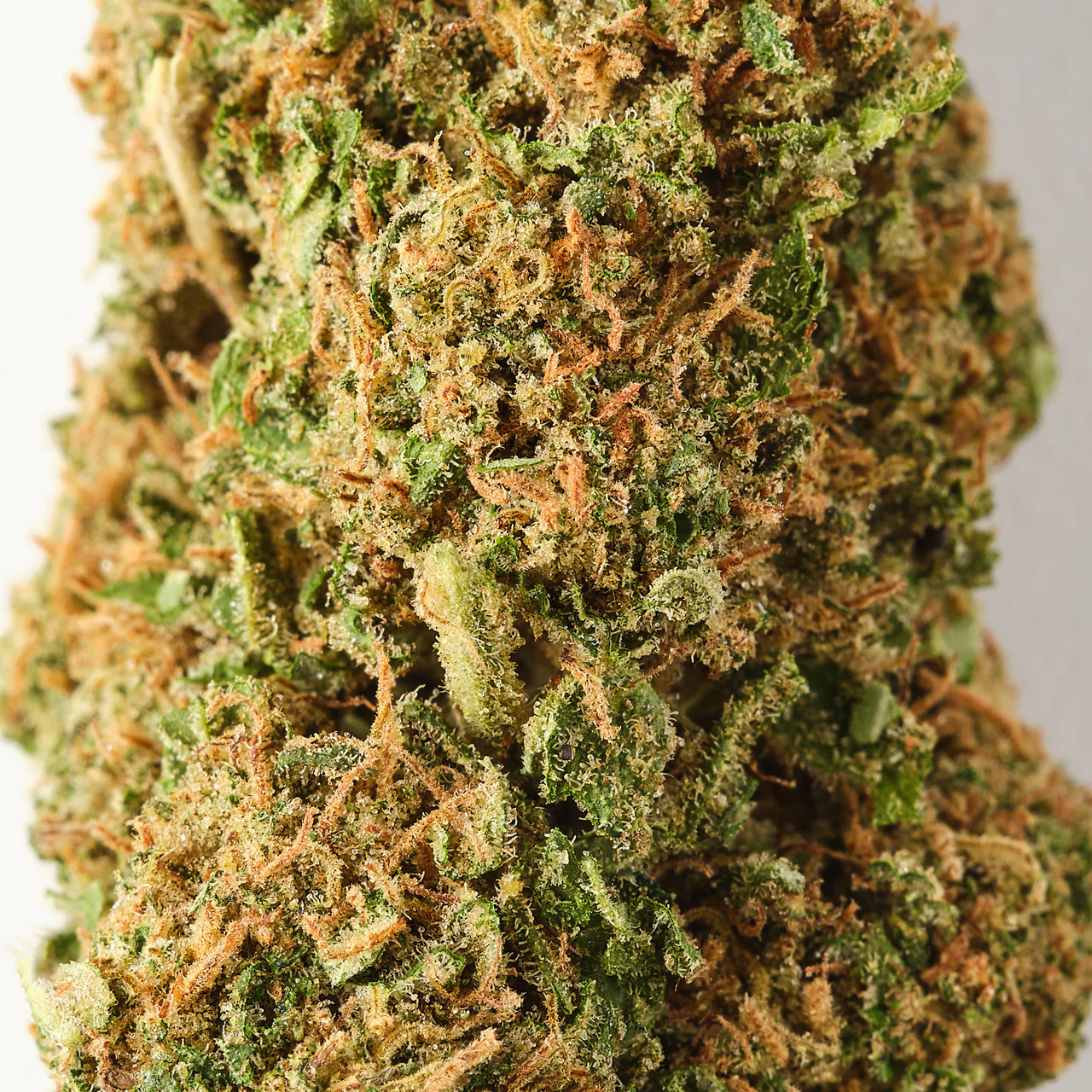 Buy Sour Lifter CBD Flower - Image 2