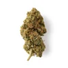 Buy White Rhino CBD Flower |