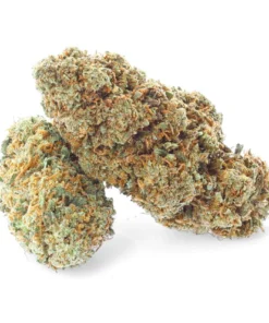 Buy Harlequin 2.0 CBD Flowers