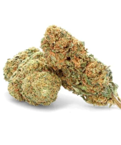 Buy Lemon Amnesia CBD Flowers