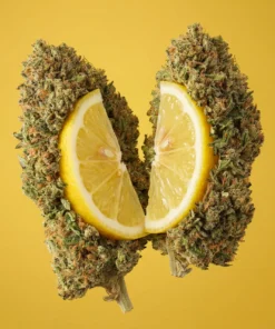 Alternative view of Buy Lemon Octane CBD Flower