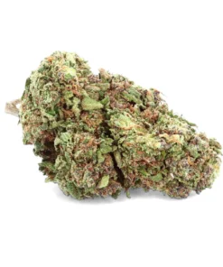 Buy Royal Cheese CBD Flowers