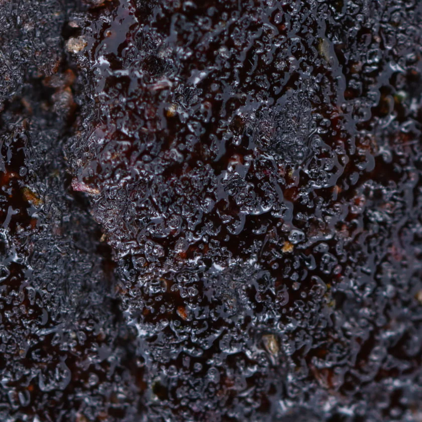 Buy Purple CBD Hash - Image 3