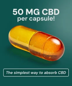 Alternative view of Buy Hemphash’s 1500mg CBD Capsules
