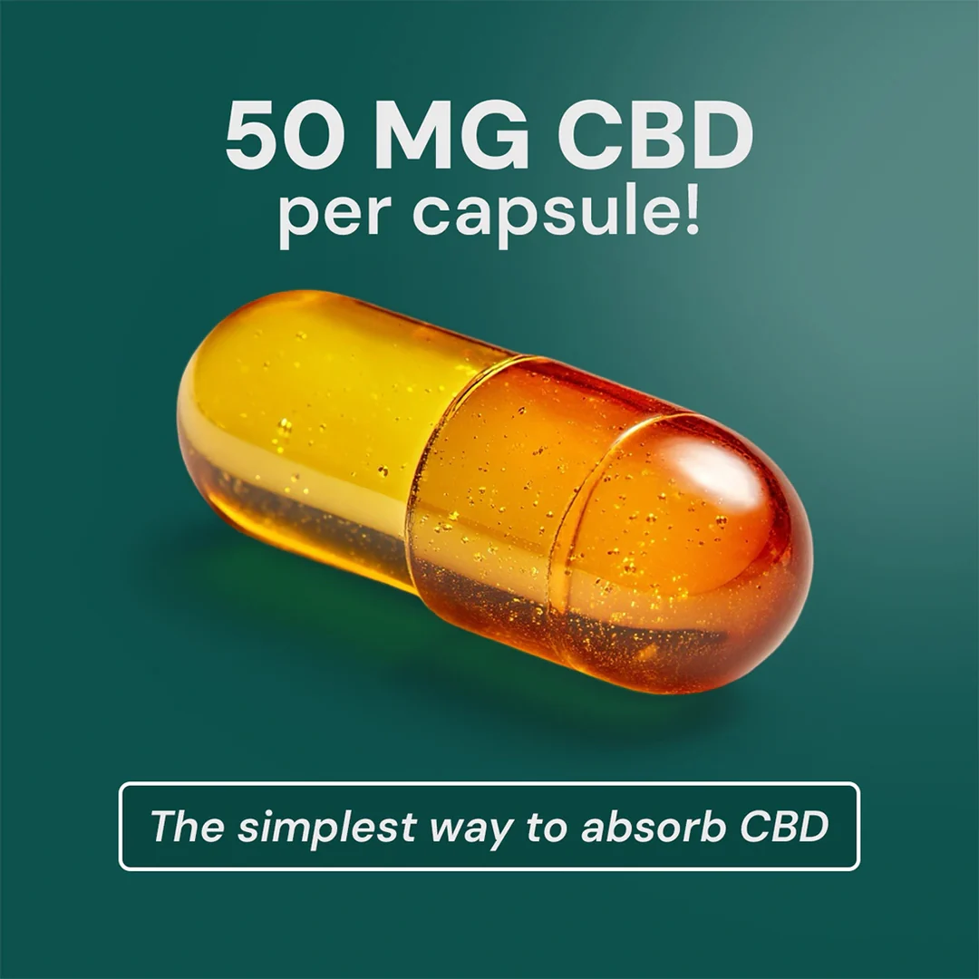 Buy Hemphash’s 1500mg CBD Capsules - Image 2